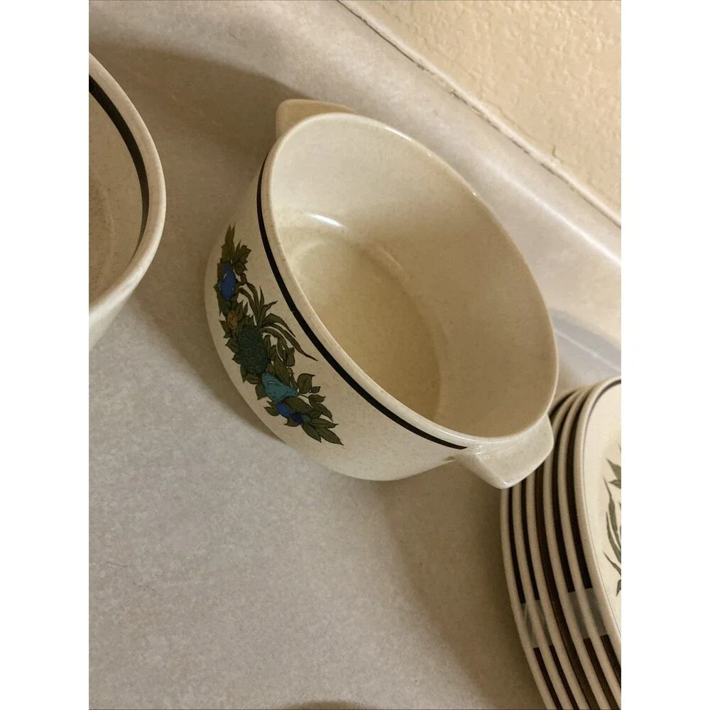 Temper Ware By Lenox Fall Bounty Dinnerware Lot 17 Pieces MCM